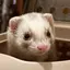 きいのプロフィール画像