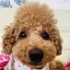 nyonyoのプロフィール画像