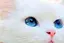 Kikuのプロフィール画像