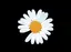 🌼.*のプロフィール画像