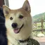 みいたそ。のプロフィール画像