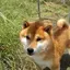 KUのプロフィール画像