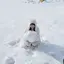 Yのプロフィール画像
