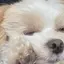 なのプロフィール画像