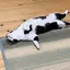 ゆりのプロフィール画像