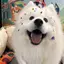 はるのプロフィール画像
