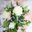 green teaのプロフィール画像