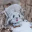 はるのプロフィール画像