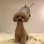 ききのプロフィール画像