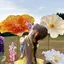 7kaのプロフィール画像