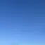 金光心海のプロフィール画像