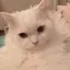 麗のプロフィール画像