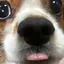 こぴのプロフィール画像