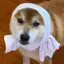 エリのプロフィール画像
