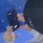 ふたまたひよりのプロフィール画像