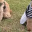 マキのプロフィール画像