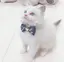 Sのプロフィール画像