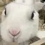 なのプロフィール画像