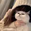 志珠来のプロフィール画像