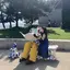 かなのプロフィール画像