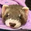 まいのプロフィール画像
