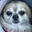 amiのプロフィール画像