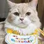 ゆのプロフィール画像