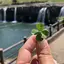 NONのプロフィール画像