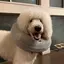 暁人のプロフィール画像