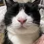 アスカのプロフィール画像