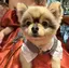 ぽんのプロフィール画像