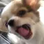 yuukaのプロフィール画像