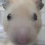 yのプロフィール画像