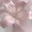 ゆあのプロフィール画像