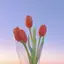 Kのプロフィール画像