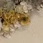 laymのプロフィール画像
