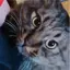 うにまるのプロフィール画像
