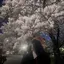 はーのプロフィール画像