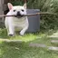 唯のプロフィール画像