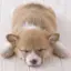 ななのプロフィール画像
