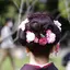 sanaのプロフィール画像