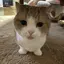 おっさーのプロフィール画像