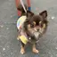 JUNKOのプロフィール画像
