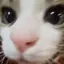 rinのプロフィール画像