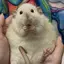 みぃのプロフィール画像