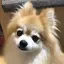 はのプロフィール画像