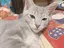 えつ子のプロフィール画像