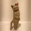 あいのプロフィール画像