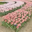 なっちのプロフィール画像