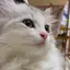 あやみのプロフィール画像